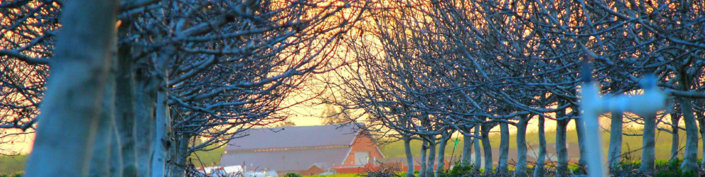 theme developpement durable