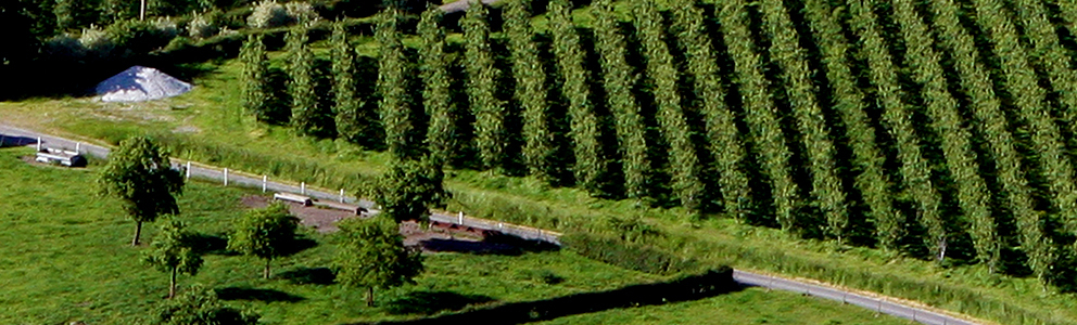 prés et champs