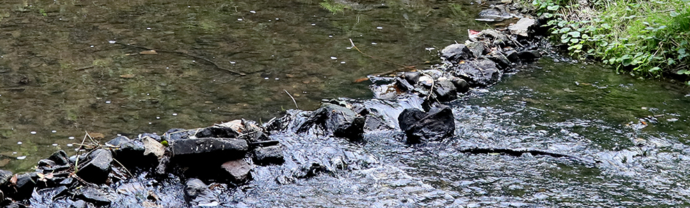 rivière