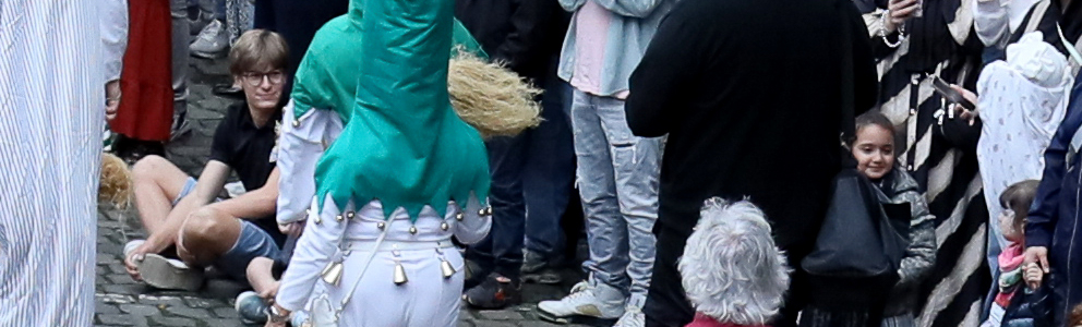 Cortège des Fêtes de Wallonie