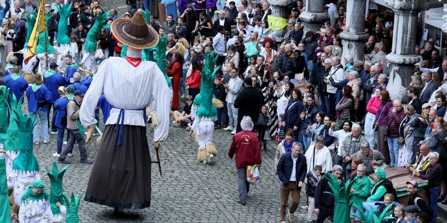 Cortège des Fêtes de Wallonie